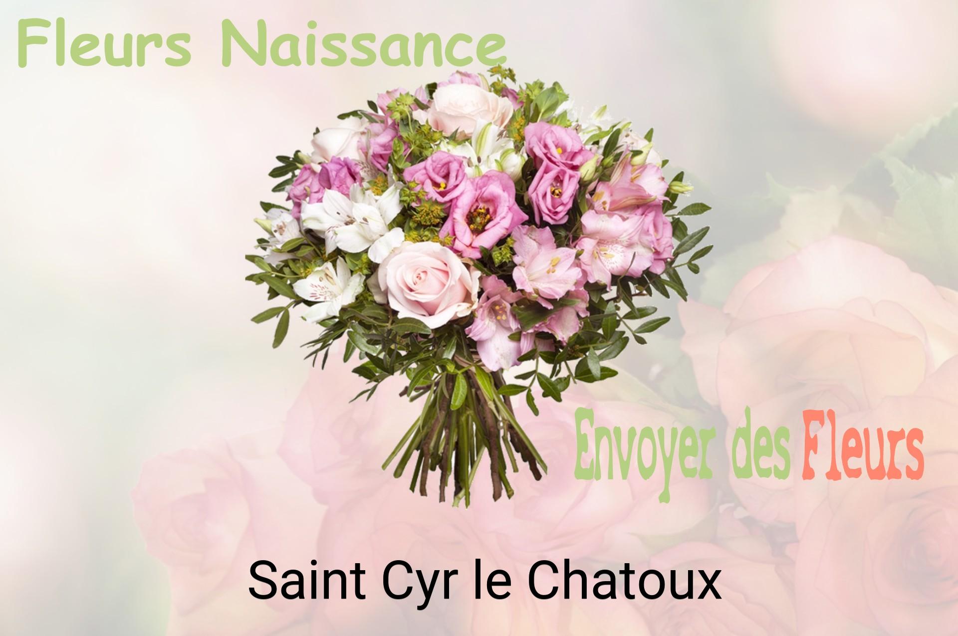 Bouquet de fleurs de naissance livré à Saint-Cyr-le-Chatoux